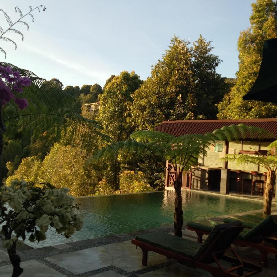Hotel Bintang Munduk Exteriér fotografie