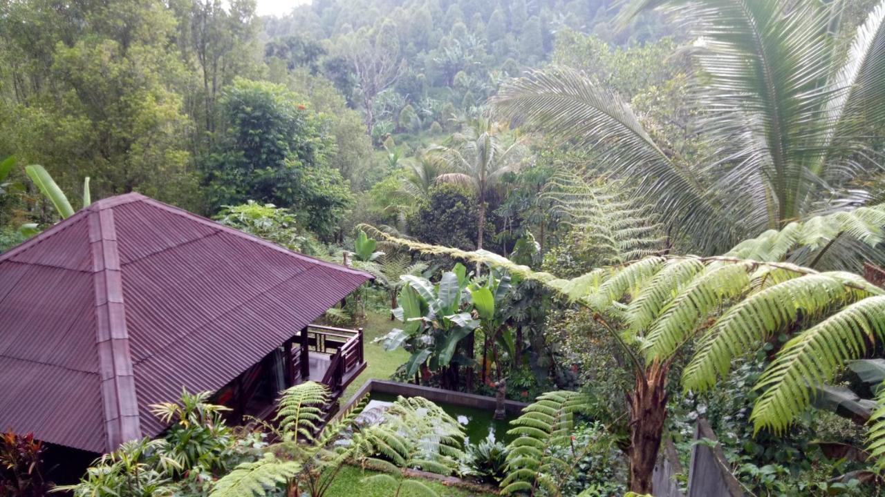 Hotel Bintang Munduk Exteriér fotografie